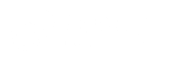 ✌️ Twotap® Learning Platform logo