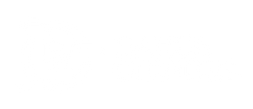 DAHUA CHINESE logo