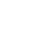 NP Medya logo