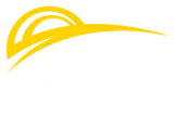 SHINE Consulting s.r.o. logo