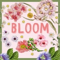 Bloom Art Experiences logo