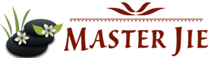 Master Jie Wellness Solutions logo