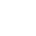 Digital Humanism Institute Academy logo