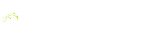 Orbo Novo logo