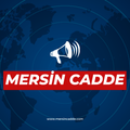 Benim Blogum's School logo