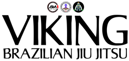 Viking Education Area logo