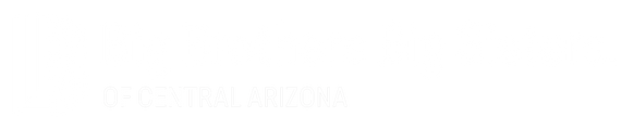 Big Brothers Big Sisters Volunteer Info Session logo