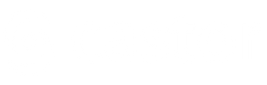 Castor Academy logo