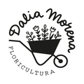 ESCUELA DALIA MORENA 2024 logo