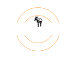 OST LIQUOR SPIRITS, WINE & BEER ACADEMY logo