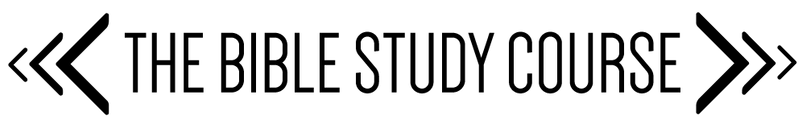 The Study Center logo