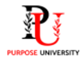 The Purpose Institute logo
