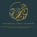 Universal Academy logo