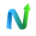 Net Worth Insights logo