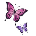 Wisdom Within Counseling and Coaching logo