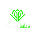 Advanced Blockchain Developer logo