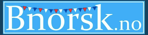 Bnorsk logo