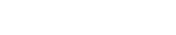 Camino University - Spanish logo