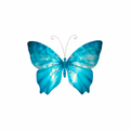 Amelia Jones MHS Johns Hopkins logo