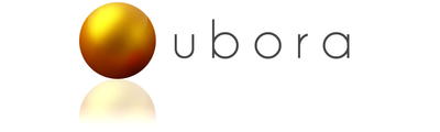 UBORA SAP VIM Academy logo