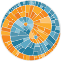 Health Transformations logo