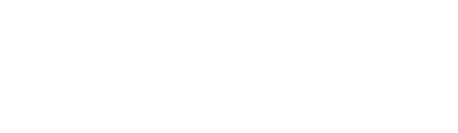 Academia Lecaros Group logo