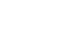 Cheeta Marketing Institute (CMI) logo