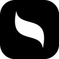 Intellium University logo