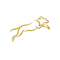 Online Dogtraining logo