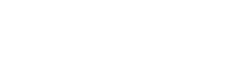 Acupuncture Insights logo