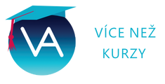 Více než kurzy logo