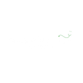 Doctor Lisa Academy logo