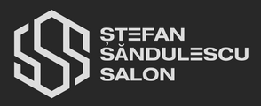 Stefan Sandulescu Salon's School logo