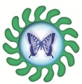 Vision Quest Boot Camp logo