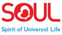 SOULedu logo