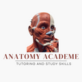 Anatomy Academe: AP Tutoring and Study Success logo
