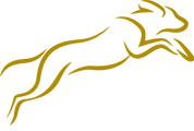 Online Hundetrening logo