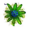 Plan*tarium logo