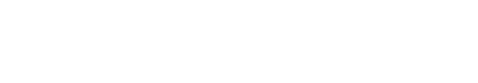 Photo Solutions University logo
