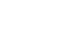 Lisa Kardos School of Excellence logo