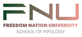 FREEDOM NATION FOREX UNIVERSITY  logo
