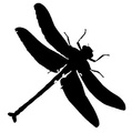Following the Paper Trail to School logo