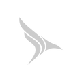 Sranzie International logo
