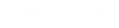 Nash Business Academy logo