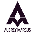 Aubrey Marcus's School logo