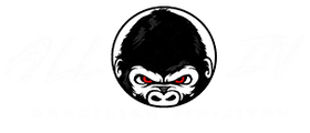 BJJDamien logo