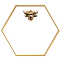 Empress Codes logo