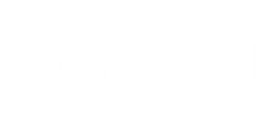 Dr. Ann Wellness logo