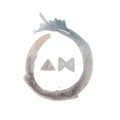 Anna Carolyn Meier logo
