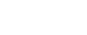 Capturing WOW logo
